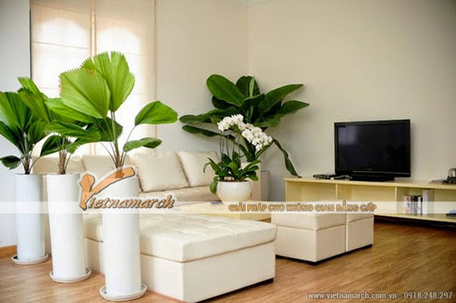 Phòng khách tinh tế nhờ thiết kế nội thất với gam màu trắng chủ đạo > Không gian tràn đầy sức sống với cây xanh tự nhiên