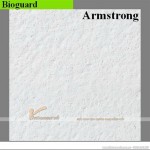 Tấm trần sợi khoáng BIOGUARD™- Armstrong