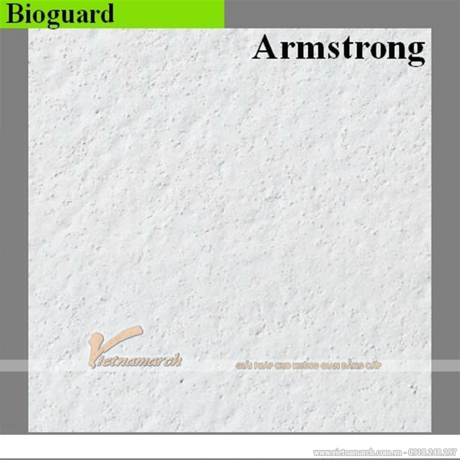 Tấm trần sợi khoáng BIOGUARD™- Armstrong > Thiet-ke-thi-cong-tran-thach-cao-01