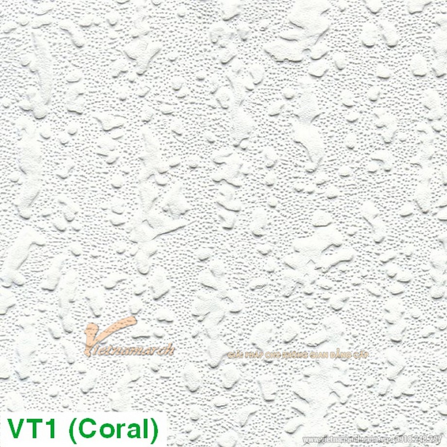 Tấm trần thạch cao phủ nhựa PVC Coral VT1 > Ứng dụng tấm trần phủ PVC Coral VT1 vào thi công trần thạch cao