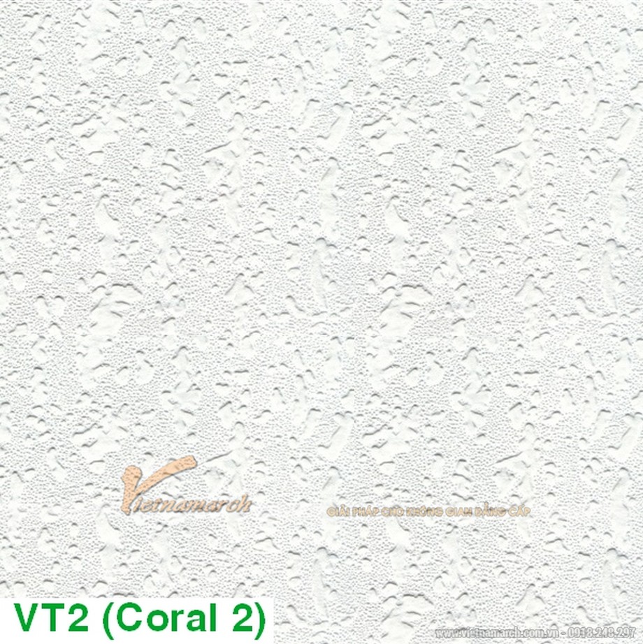 Tấm trần thạch cao phủ nhựa PVC Coral VT2 > Ứng dụng tấm trần phủ PVC Coral VT2 vào thi công trần thạch cao