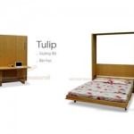 Mẫu giường gấp thông minh kết hợp với bàn học Tulip