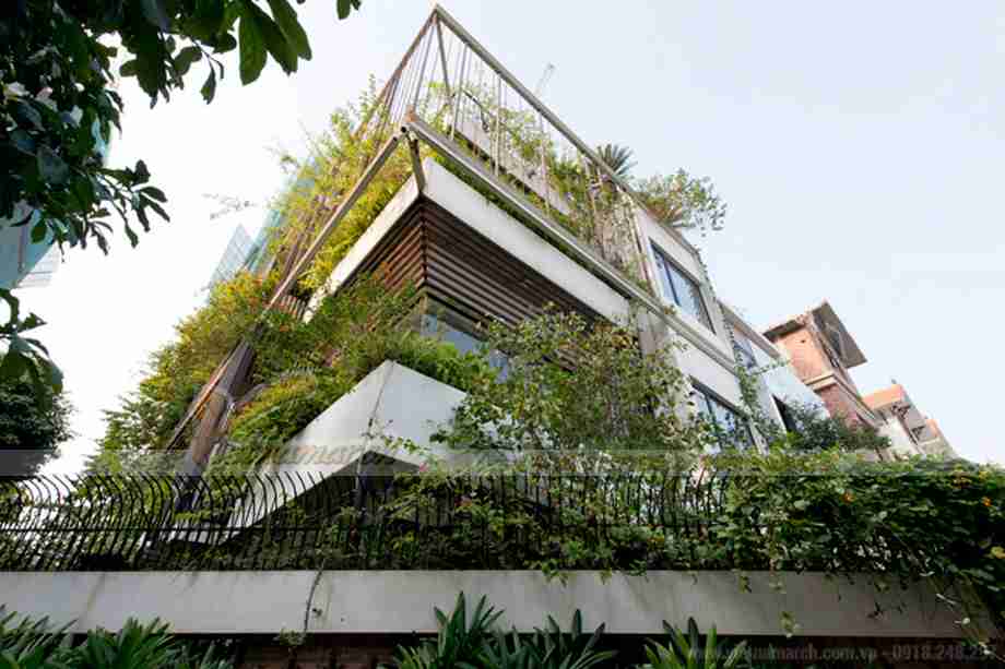 Chiêm ngưỡng căn "biệt thự xanh" tuyệt đẹp tại Hà Nội