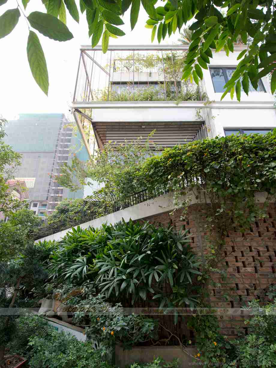 Chiêm ngưỡng căn "biệt thự xanh" tuyệt đẹp tại Hà Nội
