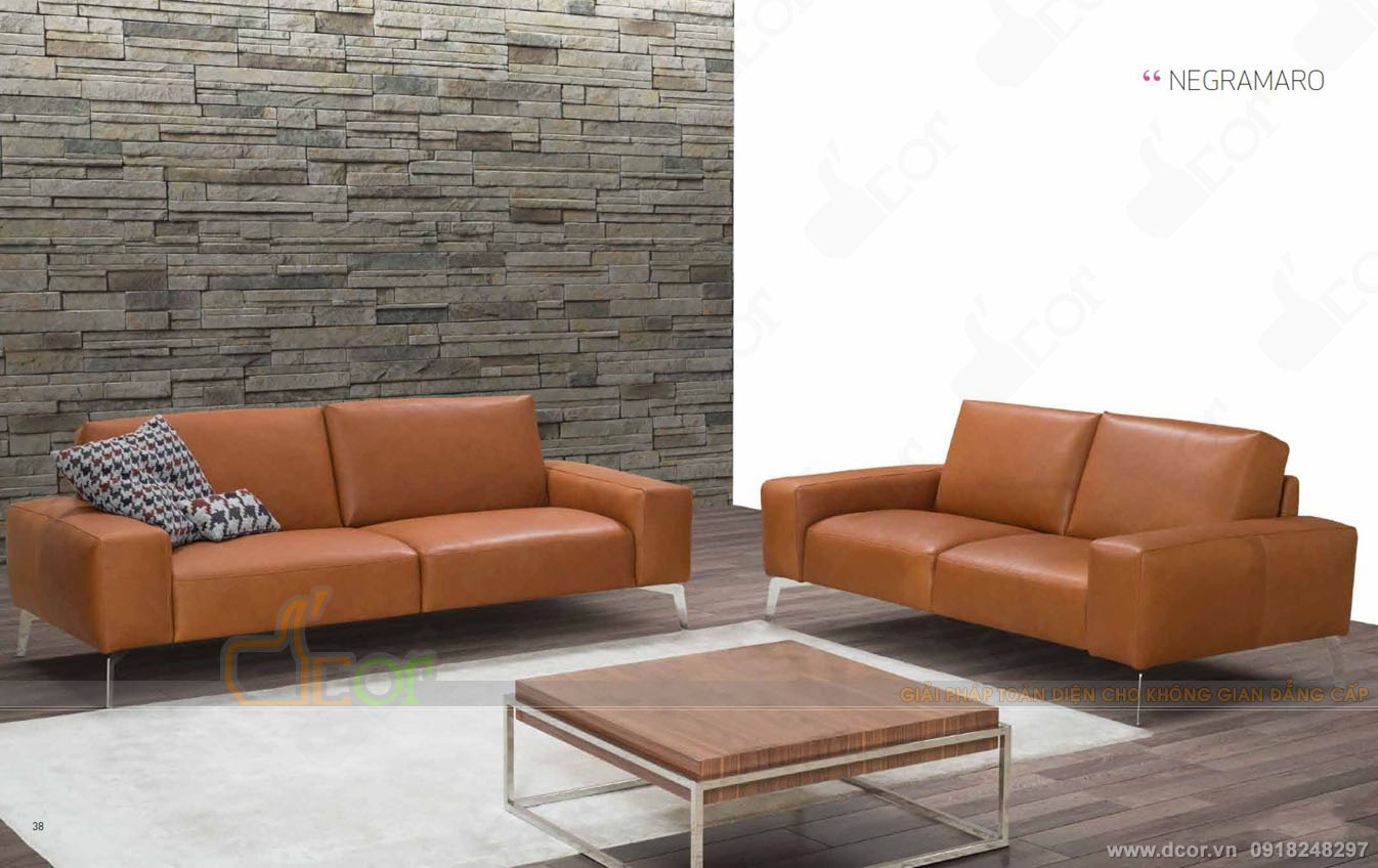 Ghế sofa phòng khách nhập khẩu Italia DV 1048 đẹp hiện đại