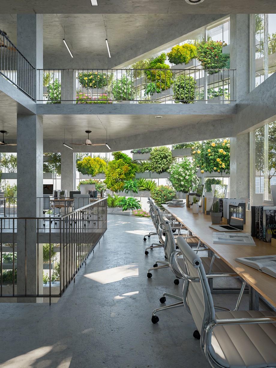 Không gian xanh tác động như thế nào tới văn phòng làm việc chung ? > 