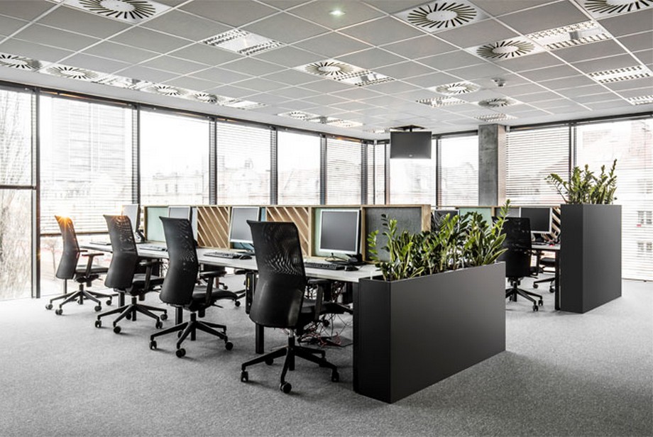 Thiết kế nội thất văn phòng tại Ba Lan với các tấm vách gỗ tạo sự riêng tư giữa 2 dãy bàn