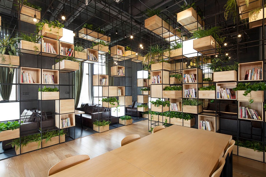 Thiết kế cây xanh trong văn phòng, mẫu cây xanh hợp mệnh 12 con giáp trong văn phòng > Bố trí các chậu cây xanh đan xen với kệ đựng tài liệu 