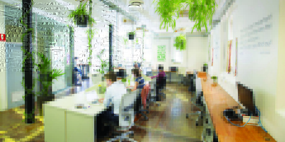99 ý tưởng tư vấn thiết kế và thi công văn phòng làm việc đột phá và sáng tạo ! > Thiết kế khu vực làm việc cho nhân viên trong văn phòng xanh