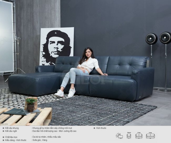 Khỏe khoắn sang trọng trong thiết kế sofa Ý – DG1067