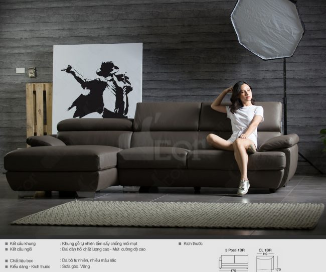 Đơn giản và tinh tế với sofa góc – DG1069