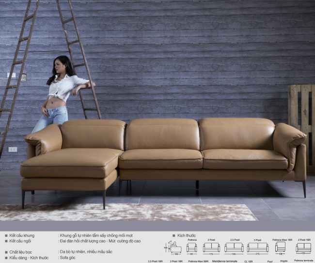 Đẹp cuốn hút cùng thiết kế sofa Ý Eden – Mã: DG1060