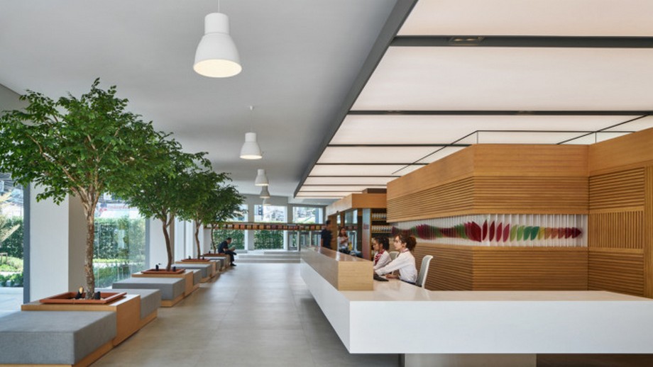 Cẩm nang thiết kế sân vườn văn phòng đẹp, hợp phong thủy giúp doanh nghiệp thịnh vượng