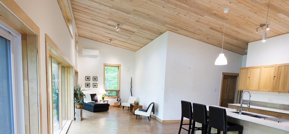 Ứng dựng vật liệu mới cho trần nhà: trần nhôm, trần gỗ, trần nhựa, trần xuyên sáng