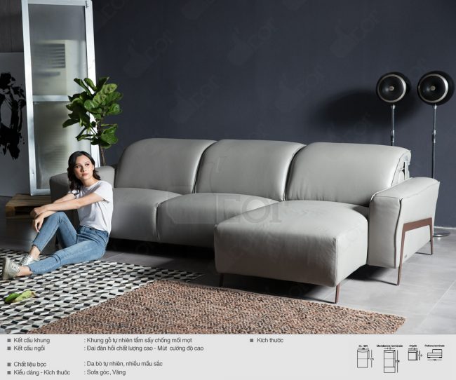 Sofa Ý nhập khẩu phong cách hiện đại – Mã: DG1062