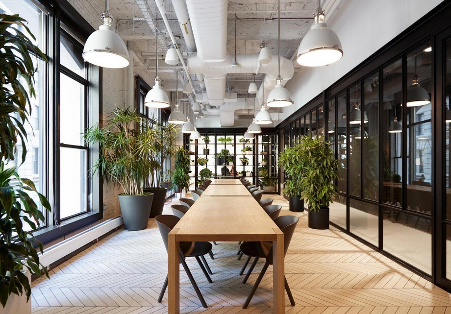 Đừng bỏ lỡ 55 mẫu thiết kế phòng họp đẹp, chuyên nghiệp > Cá tính, chuyên nghiệp với mẫu thiết kế phòng họp đầy cây xanh