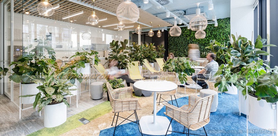 Thiết kế cây xanh trong văn phòng: Những chiếc gối trang trí kết hợp với những chiếc bàn làm việc và cây xanh tự nhiên mang lại cho nhân viên cảm giác thoải mái và thư giãn hơn. Thiết kế cây xanh trong văn phòng không chỉ giúp cho không gian làm việc trở nên xanh hơn, mà còn giúp cho các nhân viên giảm stress và giữ được tinh thần thoải mái. Cùng xem hình ảnh này để được cảm nhận sự thư thái mà cây xanh mang lại.