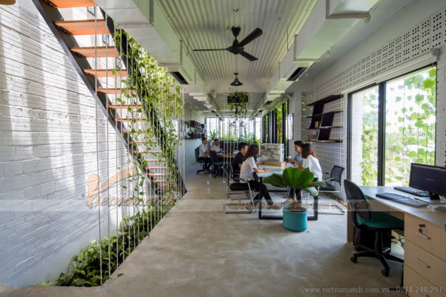 Thiết kế cây xanh trong văn phòng > Cách bố trí cây xanh trong văn phòng