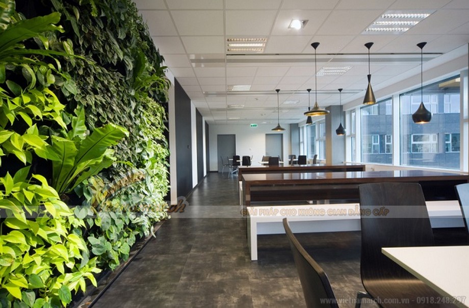 Thiết kế cây xanh trong văn phòng > Cách bố trí cây xanh trong văn phòng
