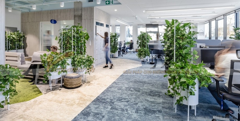 Thiết kế cây xanh trong văn phòng > Văn phòng xanh là gì?