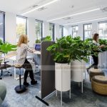 Thiết kế cây xanh trong văn phòng