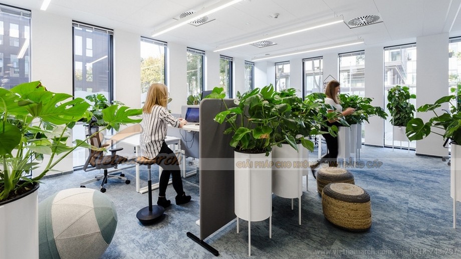 Thiết kế cây xanh trong văn phòng > Những lợi ích của thiết kế văn phòng xanh 