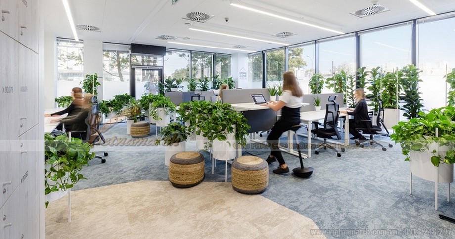 Cách bố trí cây xanh trong văn phòng