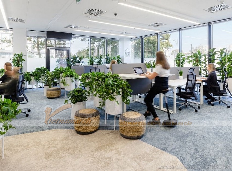 Thiết kế văn phòng 90m2 và xu hướng thiết kế được yêu thích nhất năm 2023 > Hòa mình vào thiên nhiên ngay cả khi đang làm việc trong nhà