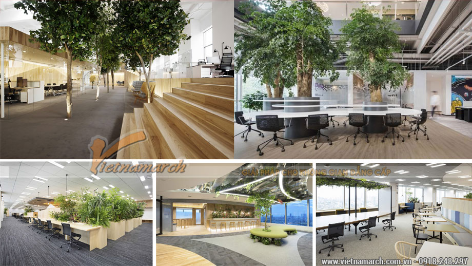 48+ mẫu thiết kế văn phòng lớn nhỏ- Coworking space đẹp hiện đại-Chất nhất 2023 > Thiết kế văn phòng tại Tôn Thất Thuyết